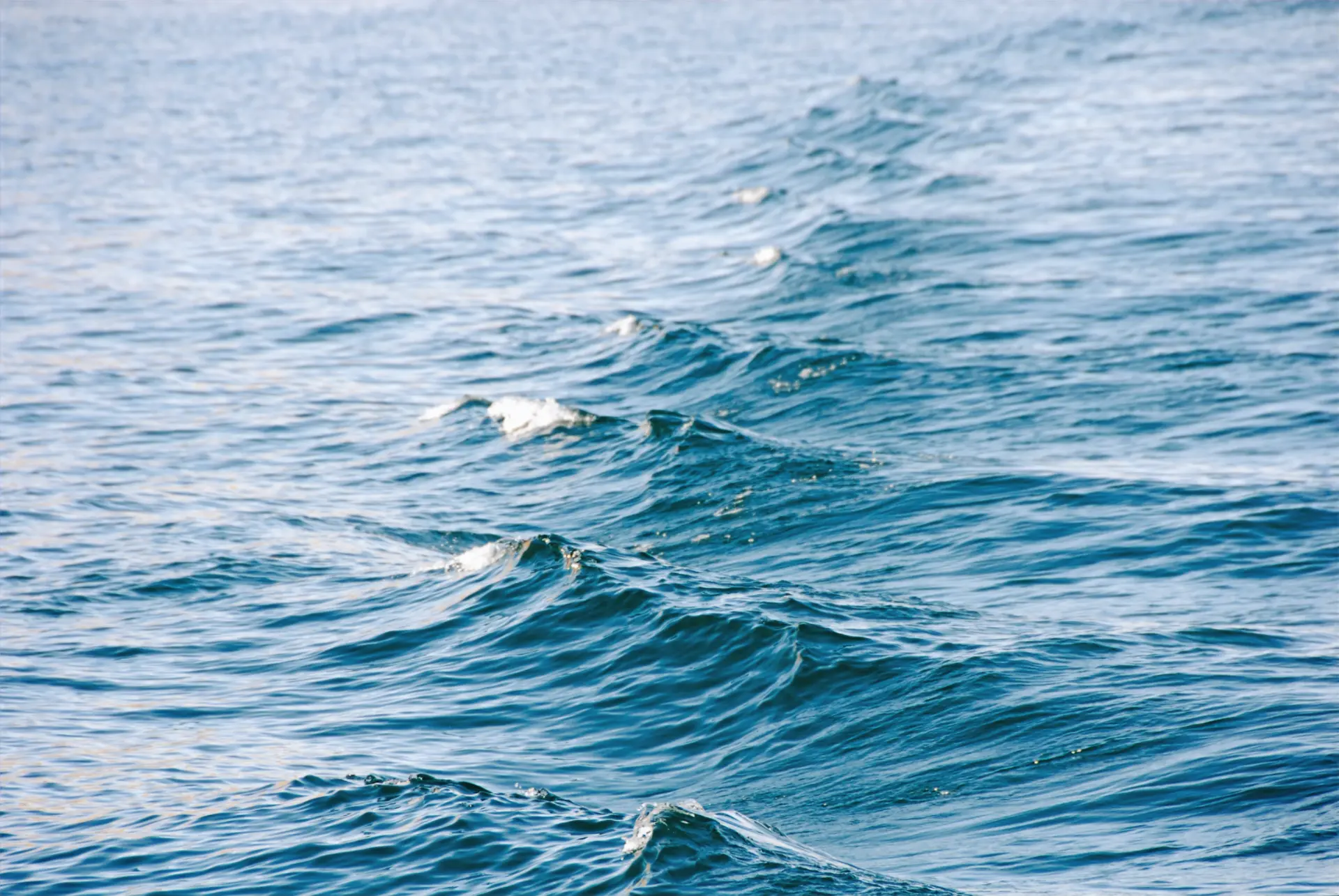 Small waves on the surface of a lake, contemplative and alive